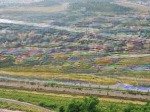 Chính chủ công tác nước ngoài cần bán gấp lô đất tại bắc lệnh lào cai, pháp lý đầy đủ