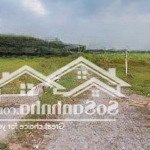 Bán đất tại thái mỹ, củ chi, hcm, 7 triệu / m2, 13100 m2 - hàng hiếm giá cực chất
