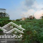 Bán đất tại thái mỹ, củ chi, hồ chí minh, giá cực chất 7,6 triệu / m2, diện tích 13300 m2