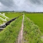 Bán đất tại thái mỹ, củ chi, hồ chí minh, giá cực chất 9 triệu / m2, 4900 m2