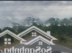 Bán vườn cây ăn trái 11.000m xã phú lý, vĩnh cửu mặt tiền 93m, giáp suối, sổ riêng giá chỉ 3,9 tỷ