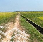 Bán đất tại thái mỹ, 8,9 triệu / m2, 5320 m2, sổ đỏ đầy đủ