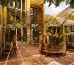 Cho thuê biệt thự sân vườn đường điện biên phủ q3, diện tích: 7.5x10m, trệt lửng 2 lầu, giá 150tr