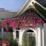 Bán nhà đường âu cơ dt 7.5m x 34m giá 23.5 tỷ còn tl