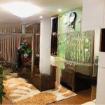(giá thật) chính chủ bán căn 75m2 2pn + 2 wc full nội thất giá 5 tỷ cc eco dream