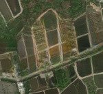 Bán 6ha đất mặt tiền lý nhơn cần giờ