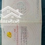 đất 2mt đường trần hữu dực và nguyễn duy trinh chỉ 55tr/m2 - biển tân trà - ngũ hành sơn