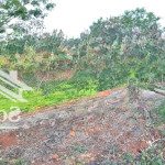 đất tc 400m2, tổng 4,2 sào, view lúa, cực đẹp, ngay eco city, hẻm nguyễn chí thanh