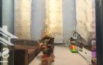 Khu vip mặt tiền đường nhựa 8m thân nhân trung- nhất chi mai, 3 lầu , giá ưu đãi chỉ 8,6 tỷ