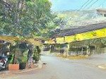 Bán đất mặt tiền đường 182, tăng nhơn phú a, quận 9. dt 87m2 gần trường cấp 3 dương văn thì
