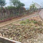 Bát khối, thạch bàn, long biên, đất đẹp vuông vắn, ngõ ô tô thông tứ phía, 80.4m2
