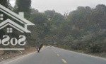 Sốc!181m đất full thổ cư gần các dự án lớn mà chỉ có vài tr/m ,tại xã lâm sơn,lương sơn.hoà bình