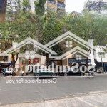 Mặt phố vip lô góc tòa văn phòng 8 tầng thang máy