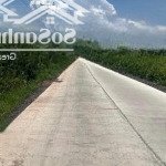 đất ngộp giá rẻ sổ hồng sẵn liền kề kdc sinh sống xã phú hữu cách phà cát lái q2 chỉ vài km