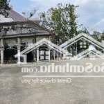 Bán đất khu biệt thự cao cấp lô 90 - trung tâm huyện đức trọng