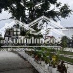 Bán đất nền tại đường đông trà 8, hòa hải view công viên khu làng đại học