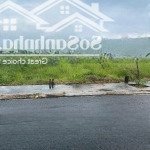 Bán gấp đất tại ruộng cạn, xã bình nghị, gò công đông, tiền giang 500tr/170m2, shr, 100% thổ cư