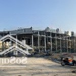 Dự án hồng bàng midtown. mở bán quỹ độc quyền, nhà phố thương mại, shophouse giá gốc chủ đầu tư