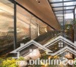 Bán song lập nhỏ giá 105tr/m2 vinhomes ocean park 3. liên hệ: 0967275474