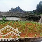 Bán đất đẹp hòa trúc hòa thạch,quốc oai,vị trí tiềm năng, sổ hồng riêng!dt 122,2m, mt9m,giá 2, 25tỷ