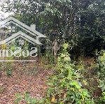 Chuyển nhượng 366m tại lương sơn.hoà bình