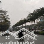Mặt phố lạc long quân - vỉa hè đá bóng - sổ vuông đẹp, mặt tiền đẹp