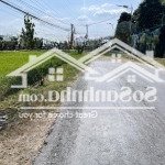 Bán nhà vườn nghĩ dưỡng khai thác được ngay cực đẹp