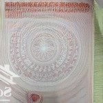 Bán đất mặt tiền đường nhựa châu pha vị trí cực đẹp