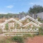 Bán 2030m2 đất ở thanh tuyền, bình dương, giá 970 triệu, sổ