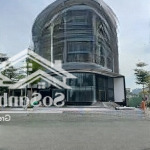 Khan hiếm! bán tòa nhà mặt tiền nguyễn thanh sơn - (20x40m - 700m2) - hầm 5 tầng - giá: 180 tỷ