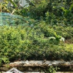 Bán 48m2 đất đẹp, giá hiếm 2,6 tỷ nam hồng, đông anh, hà nội