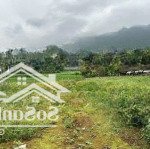 2.200m có 400 thổ cư còn lại đất vườn tại yên bình thạch thất hn bám cánh đồng view xanh mướt ạ .07