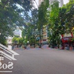 Bán lô góc mặt phố cầu giấy dt 525m2 x mt 35m. giá bán: 253 tỷ mtg