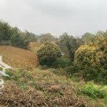 Bán 12.643m2(1,26ha) giá chỉ hơn 600k/m2 có nhà vườn ao tại lương sơn làm khuôn viên nghỉ dưỡng .