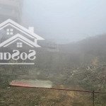Bán đất trung tâm thị trấn tam đảo, 500m2x18m mặt tiền, 2 đầu đường. hàng hiếm siêu đẹp, giá đẹp