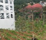 Bán đất siêu vip tại thị trấn tam đảo, 481m2, view đẹp, giá siêu hời chỉ có 30 tỷ