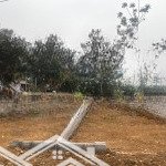 Chính chủ cần bán 2 lô mỗi lô 5m mặt tiền diện tích tổng 400m thổ cư cư 200m tại vân hoà ba vì hn