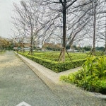 Cực hiếm lô góc 285m2, đường 3 ô tô tại đồng vàng phú mãn, sát đhqg tại hoà lạc. chỉ hơn 5 tỷ
