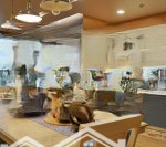 Hot hàng hiếm 10 suất ngoại giao bảng hàng cực hot, lãi suất 0% trong 6 tháng, căn hộ tt láng hạ