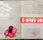 Bán lô đất đường 7m5 bàu vàng 5 .liên chiểu. s= 100m2 sạch đẹp. giá: 3.28 tỷ