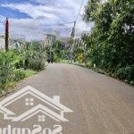 Bán vườn trái cây giá ngộp 5867m2 140m2 thổ cư, đường nhựa 1 sẹc đường mỹ xuân - ngãi giao, brvt