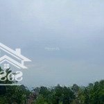 Ra nhanh 3100m2 vườn mít trên đất có sẵn (5x40m) thổ cư cách chợ phú thuận 2,5km