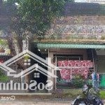 Kẹt tiền bán 10 phòng trọ diện tích 100m2 (5x20m), đường nhựa 12m khu minh tuấn gần nguyễn du