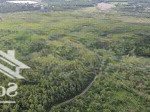 Bán 4 ha đất vườn tại xã suối rao, châu đức, bà rịa