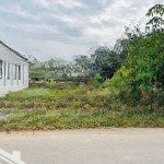 Bán đất đẹp 1 sẹc đường dh507, xã an linh, phú giáo, bình dương, giá chỉ 385 triệu, 250m2