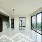 Cho thuê căn hộ diamond centery 3pn (120m2, 121m2) - dự án celadon city tân phú