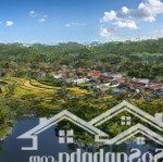 độc quyền dinh thự park hyatt phú quốc 1500m2 - 145 tỷ