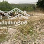 Bán đất gần ấp vịnh xã an cơ châu thành tây ninh ngang 17.7/60 đất 2mt giá 550tr hết đất