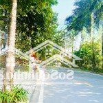 Bán căn shophouse 100m2 đường trục chính. giá rẻ hơn căn đường nhỏ. lãi ngay tiền tỷ
