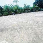 Sang nhượng lô đất tại gò cáo - thủy xuân tiên, chương mỹ, hà nội